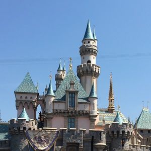 Meet your Posher, Dillon